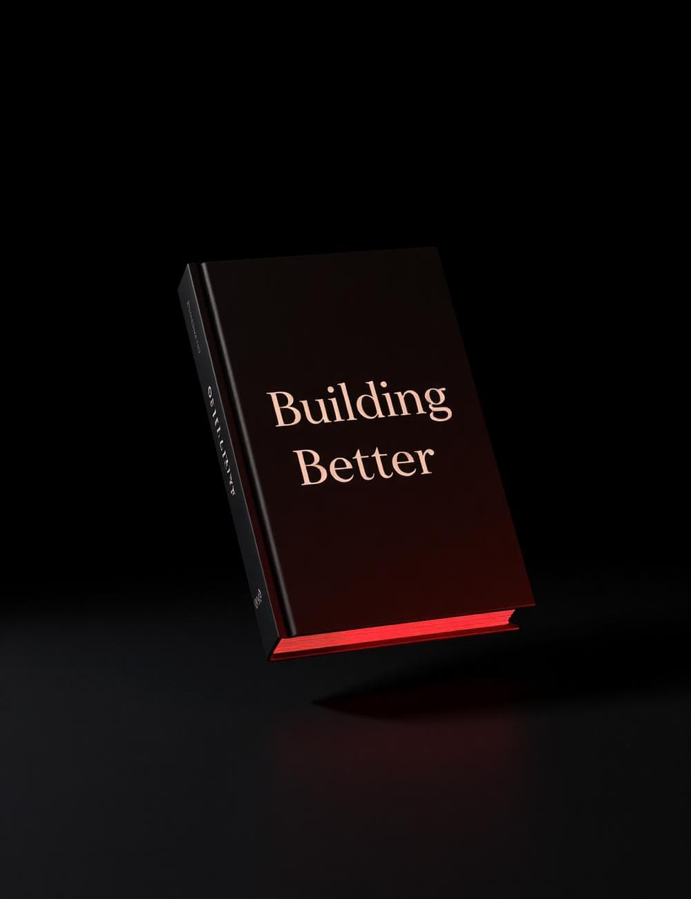 Cover of Organisational Maturity